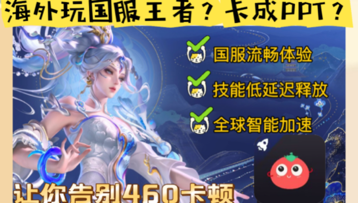 如何在国外打开12123教程